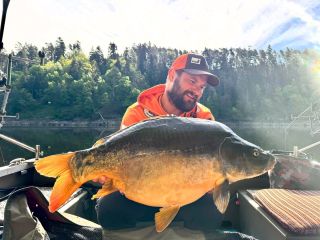 Orlík Dam - Nice Carp🎣💪 👍#orlik #dam #carp #carpfishing #carplife #fishing🎣 #fishing #fishingtrip #fishingdaily...