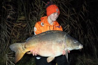 18+ Wild Cherry 🤝🤝👍👍#carpfishing #carp #carplife #carporn #carphunter #carpentry #carphotography #competition...